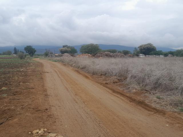Vacant Land / Plot in Louis Trichardt Rural For Sale