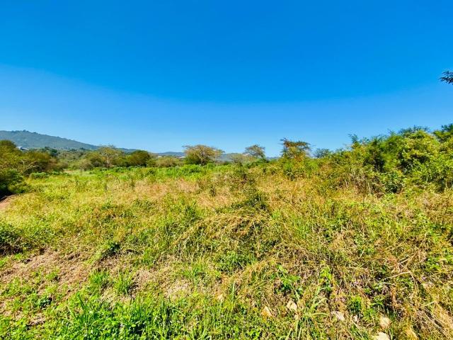 Vacant Land / Plot in Pusela AH For Sale