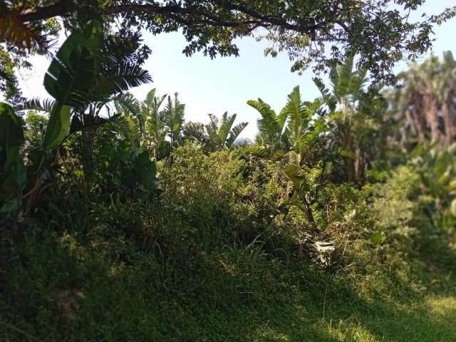 Vacant Land / Plot in Palm Beach For Sale
