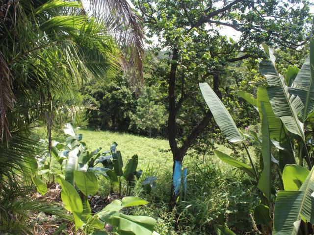Vacant Land / Plot in Palm Beach For Sale