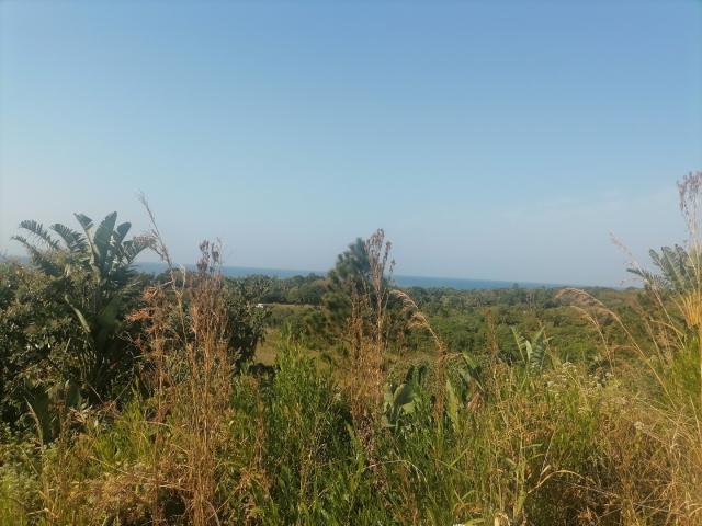 Vacant Land / Plot in Palm Beach For Sale