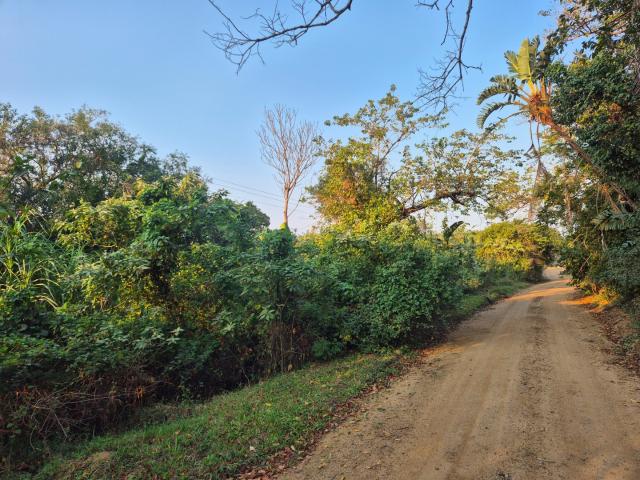 Vacant Land / Plot in Palm Beach For Sale