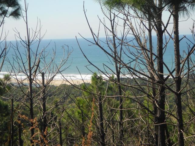 Vacant Land / Plot in Palm Beach For Sale