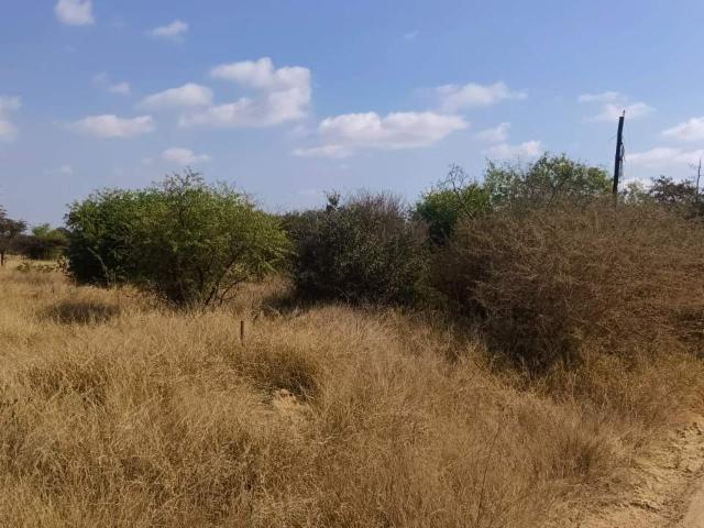 Vacant Land / Plot in Palmietfontein AH For Sale