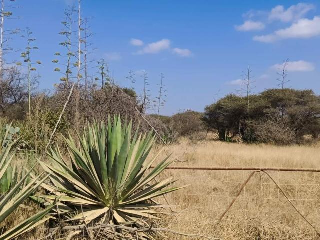 Vacant Land / Plot in Palmietfontein AH For Sale