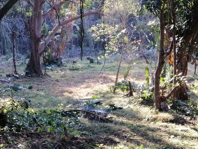 Vacant Land / Plot in Pennington For Sale