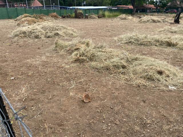 Vacant Land / Plot in Polokwane Central For Sale