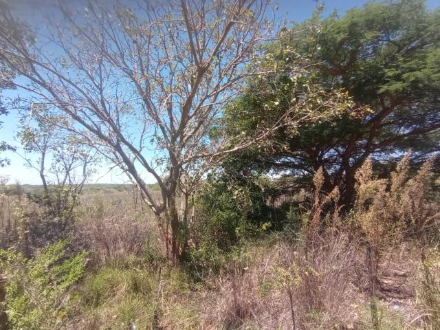 Vacant Land / Plot in Polokwane Rural For Sale