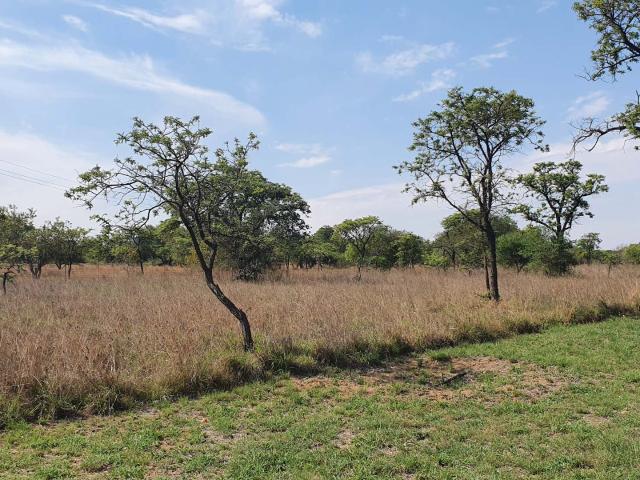 Vacant Land / Plot in Polokwane Rural For Sale
