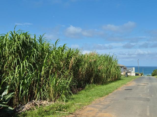 Vacant Land / Plot in Port Edward For Sale