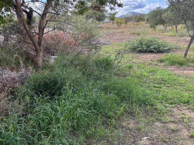 Vacant Land / Plot in Prince Albert For Sale
