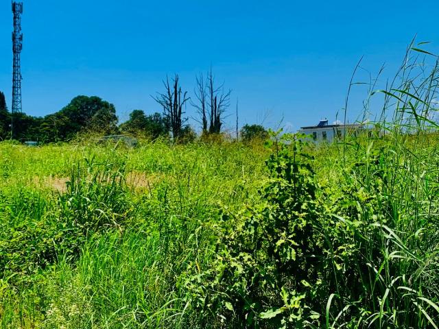 Vacant Land / Plot in Riverside Estate For Sale