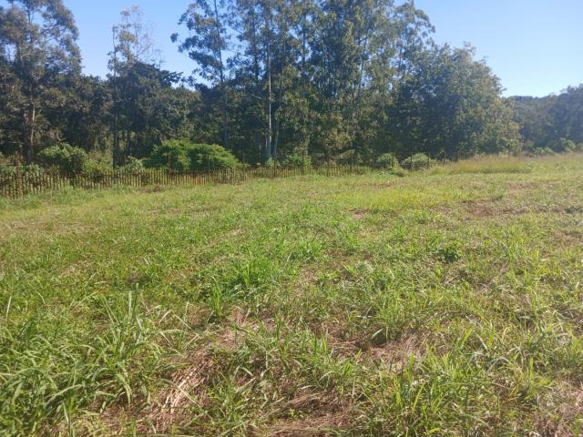 Vacant Land / Plot in Riverside Estate For Sale