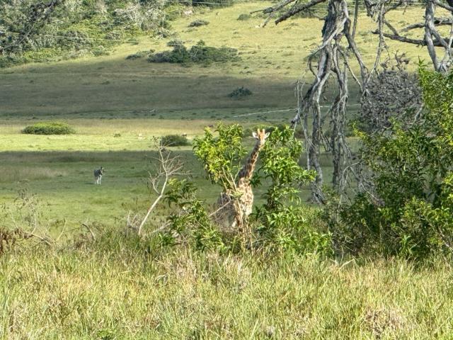 Vacant Land / Plot in Royalston Residential Estate & Wildlife Reserve For Sale