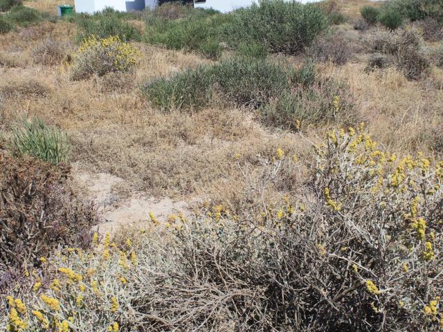 Vacant Land / Plot in St Helena Views For Sale