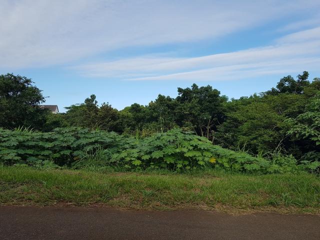 Vacant Land / Plot in Saiccor Village For Sale