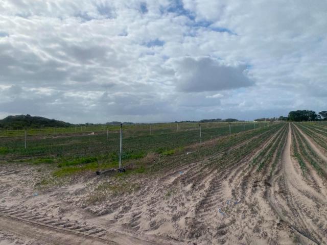 Vacant Land / Plot in Schaap Kraal For Sale