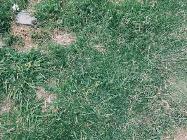 Vacant Land / Plot in Secunda For Sale