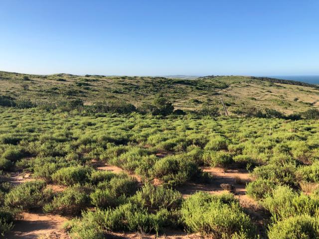 Vacant Land / Plot in Sheffield Beach For Sale