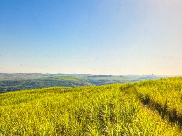 Vacant Land / Plot in Sibaya Precinct For Sale