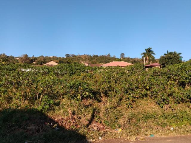 Vacant Land / Plot in Tzaneen Rural For Sale