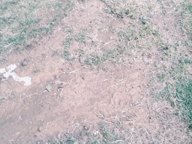 Vacant Land / Plot in Terra Nova For Sale