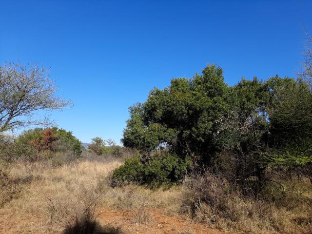 Vacant Land / Plot in Thabazimbi Rural For Sale