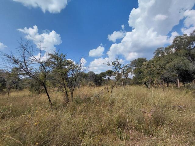 Vacant Land / Plot in Thabazimbi Rural For Sale