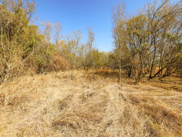 Vacant Land / Plot in The Ridge For Sale