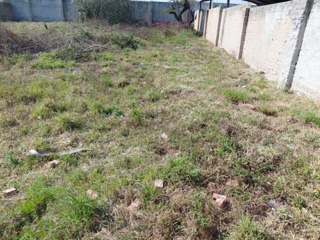 Vacant Land / Plot in Thornhill For Sale