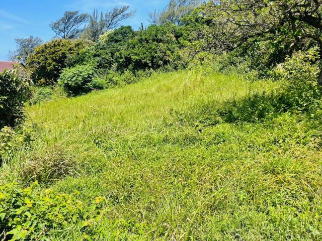 Vacant Land / Plot in Tinley Manor For Sale