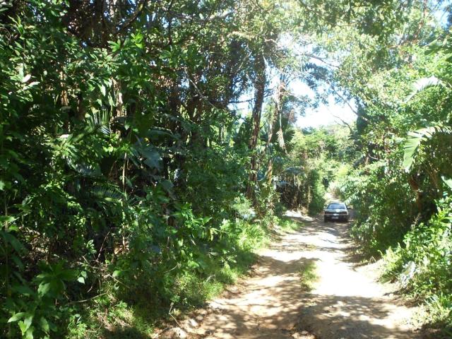 Vacant Land / Plot in Trafalgar For Sale