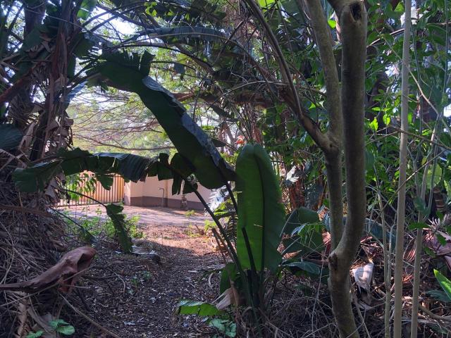 Vacant Land / Plot in Trafalgar For Sale