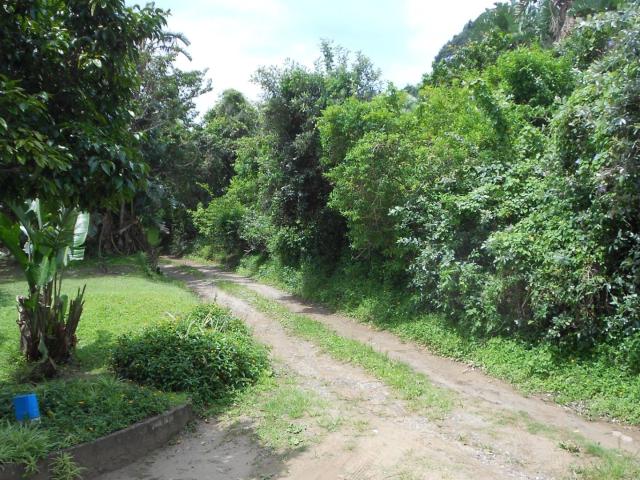 Vacant Land / Plot in Trafalgar For Sale