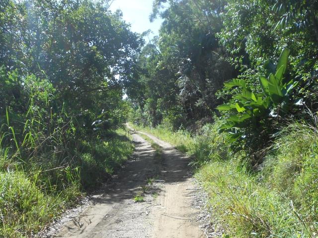 Vacant Land / Plot in Trafalgar For Sale