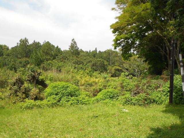 Vacant Land / Plot in Uvongo For Sale