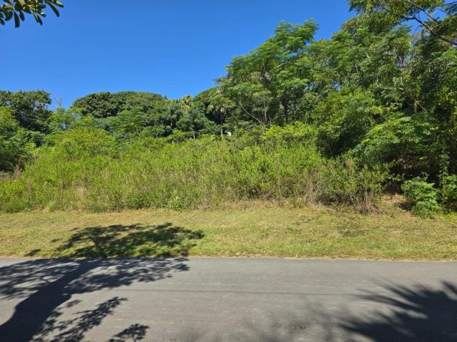 Vacant Land / Plot in Umtentweni For Sale