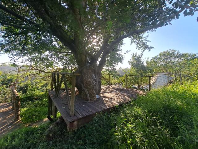 Vacant Land / Plot in Umzumbe For Sale