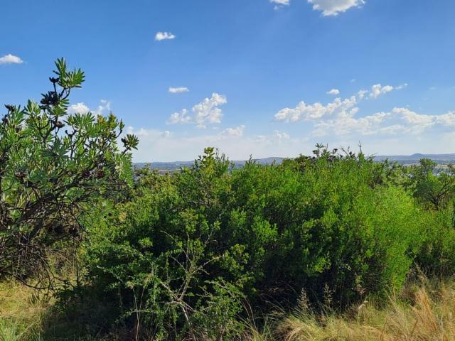 Vacant Land / Plot in Vyfhoek For Sale