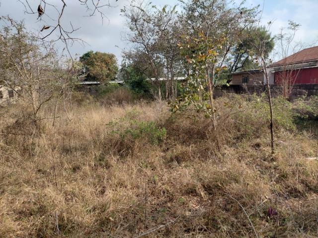 Vacant Land / Plot in Vaalwater For Sale