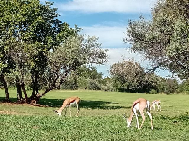 Vacant Land / Plot in Vaal de Grace Golf Estate For Sale