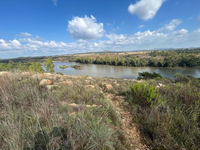 Vacant Land / Plot in Vaaloewer For Sale