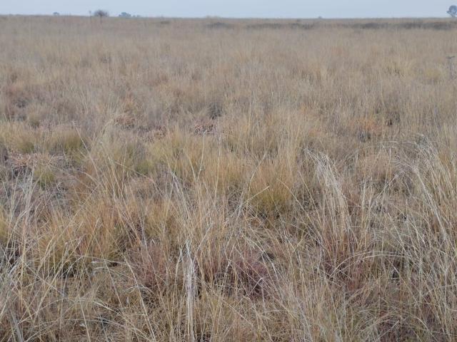 Vacant Land / Plot in Vaalpark For Sale