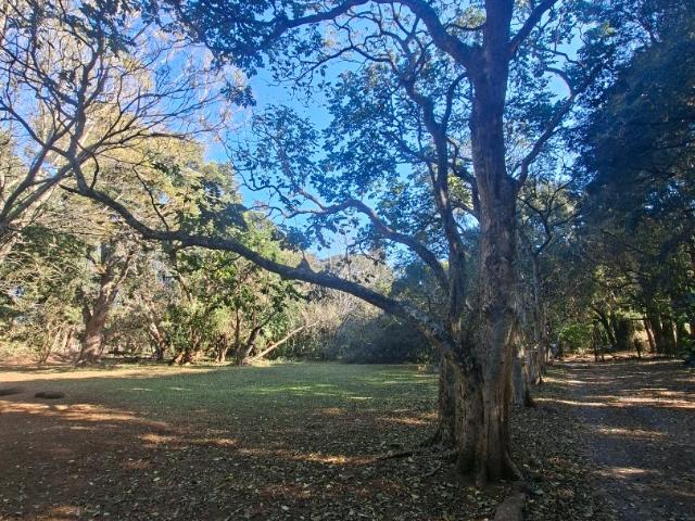 Vacant Land / Plot in Waterfall For Sale