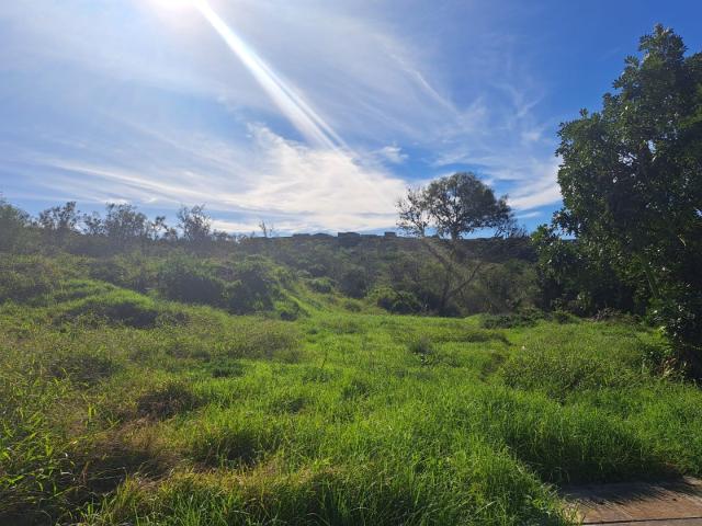 Vacant Land / Plot in Westering For Sale