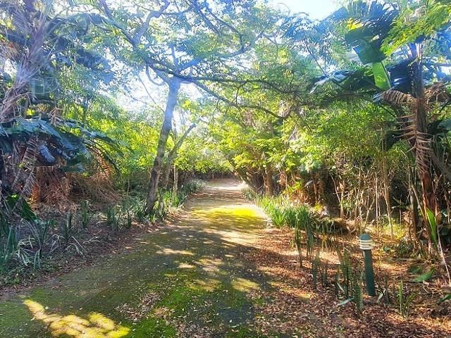 Vacant Land / Plot in Woodgrange For Sale