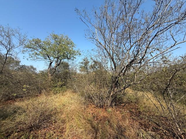 Vacant Land / Plot in Zandspruit Bush & Aero Estate For Sale