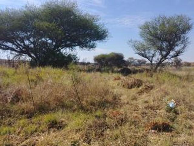 vacant stand at serala view near ame.