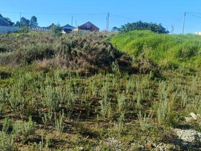 vacant plot on the market – caledon