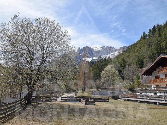 Vacanza Affitto Appartamento, in zona CAMPESTRIN, MAZZIN